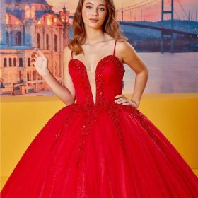 Nişanlık Prenses Model 4